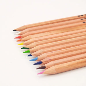 Professional Grade Watercolor Pencils -12 Colors