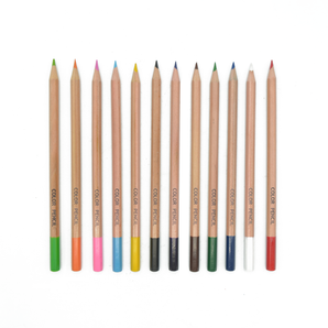 Artist Colour Pencils - Professional Grade Set 12