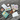 Kit de Cartes Postales Aquarelles à Emporter pour 1 personne