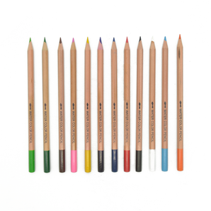 Watercolor Pencil - Professional Grade